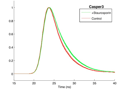 Figure: Casper3 Waveforms
